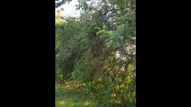 15 February 2022(4) смотреть онлайн