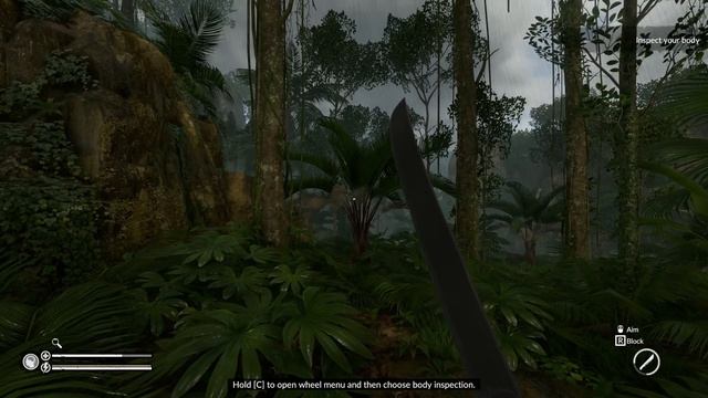THE MOST REALISTIC SURVIVAL GAME WILL DRIVE YOU INSANE - Survive in the Amazon - Green Hell Gamepla смотреть онлайн