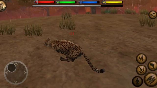 Cheetah Simulator (Part 1) Ultimate Savannah Simulator смотреть онлайн