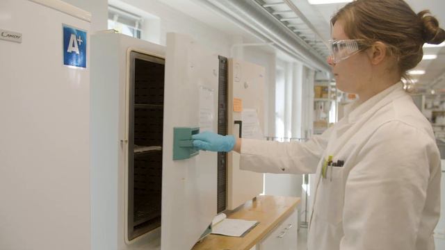 Nature’s answer to water-resistant fabrics смотреть онлайн
