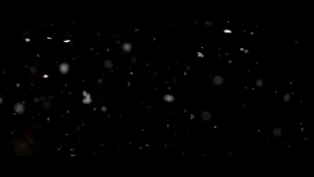 ФИЛОСОФИЯ НЕПОКОЛЕБИМОСТИ. СТОИЦИЗМ смотреть онлайн