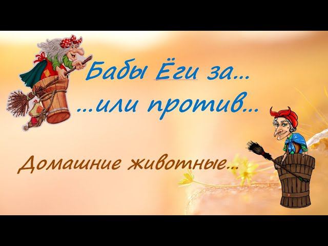 Домашние животные: заводить или нет? смотреть онлайн