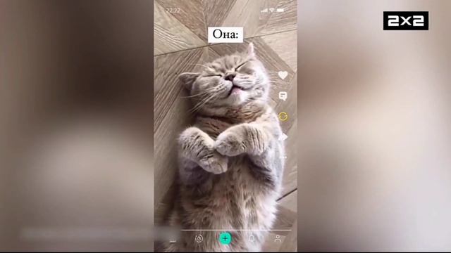 Рестарт эфира (2х2, 05.11.2023) смотреть онлайн