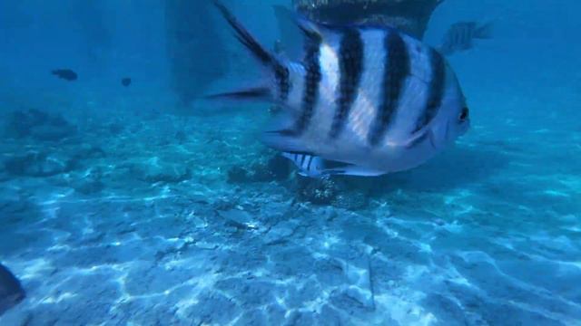 Sahl Hasheesh vacation Hurghada Red Sea Egypt holiday May 2023 смотреть онлайн