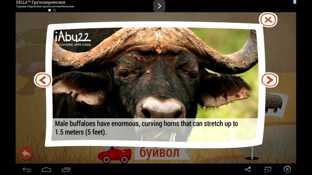 Развивающие мультики для детей! Изучаем зверей и птиц! смотреть онлайн