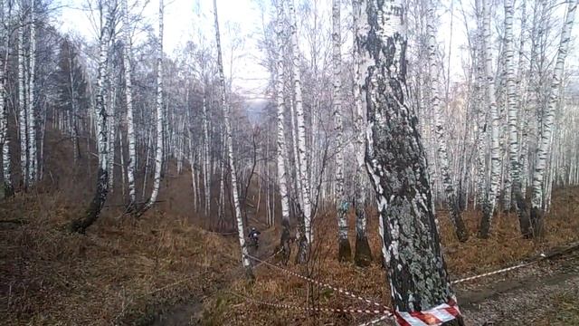 Без названия 5 смотреть онлайн