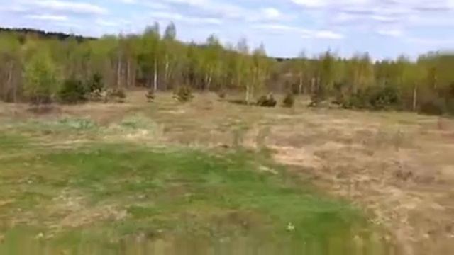 Продаю земельный участок в 10 Га. Псковская обл. Ролик 5. смотреть онлайн
