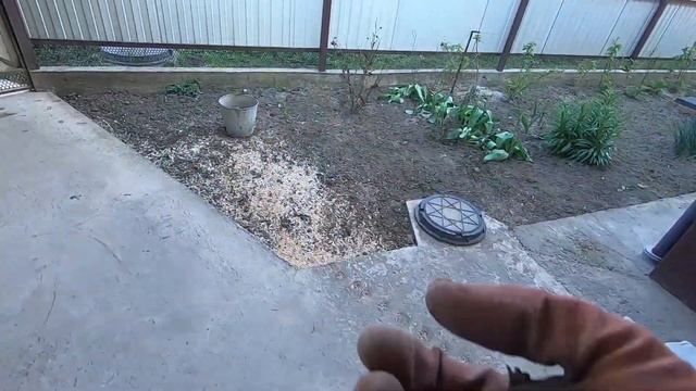 ? Никогда не поверил бы что крот выглядит ТАК !!! смотреть онлайн