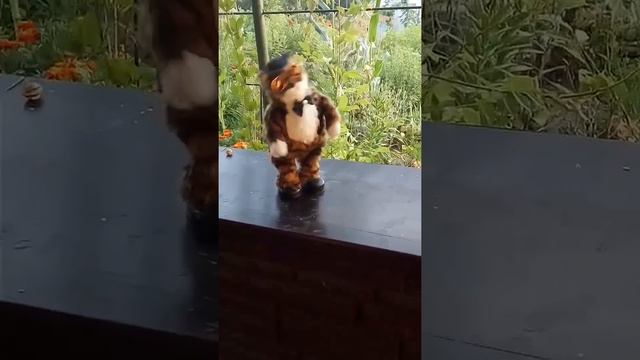 Кот Базилио поет песню на даче смотреть онлайн