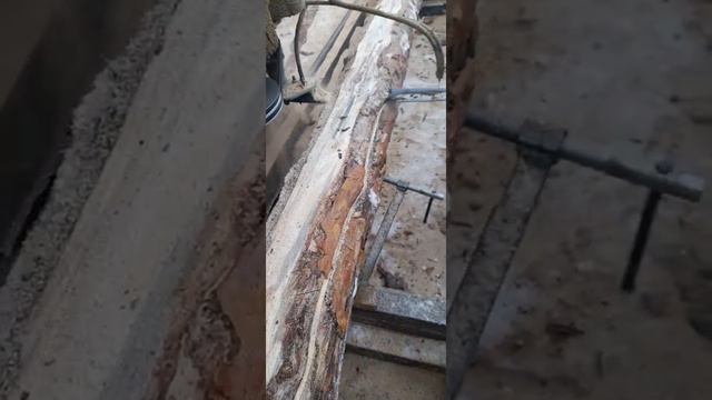 Моя шинная пилорама смотреть онлайн