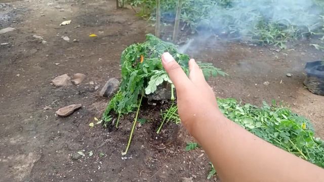 ngruat rumah/pembersihan aura negatif di tahun baru.made in java смотреть онлайн
