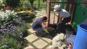 6 соток 8 августа 2023 года. Хроника.