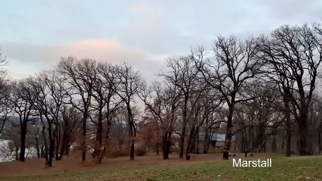 Dezembertag 2020 im Park Babelsberg смотреть онлайн