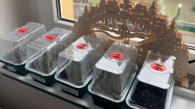 Строительные Открытия