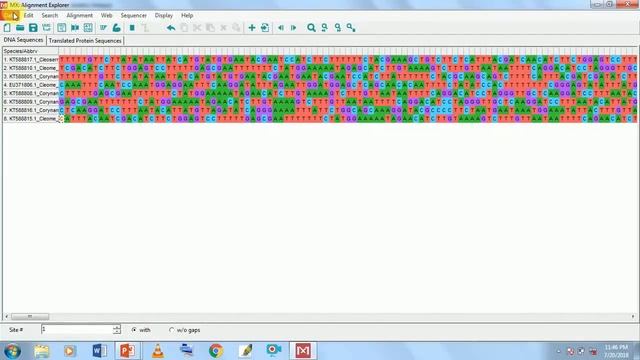 How to use Molecular evolutionary Genetic Analysis (MEGA) software смотреть онлайн