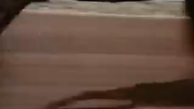 КОРА БАЙИР. ОЧЕНЬ СИЛЬНО ПАХОЖЕ в парода кора байир смотреть онлайн