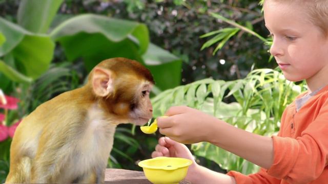 Munchin' Monkey from Ideal смотреть онлайн