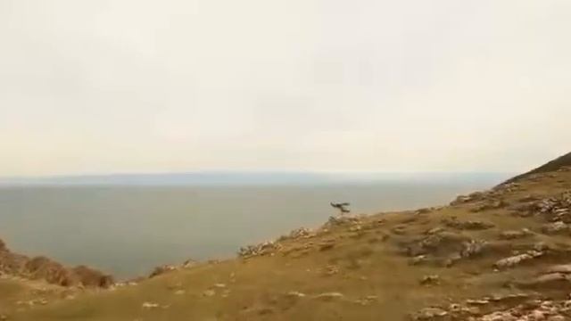 Йога-тур Передвижная баня Байкал смотреть онлайн