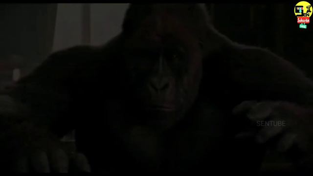 Dolittle 2020 Official Trailer | Robert Downey Jr | Tom Holland | Hollywood Movies | SENTUBE