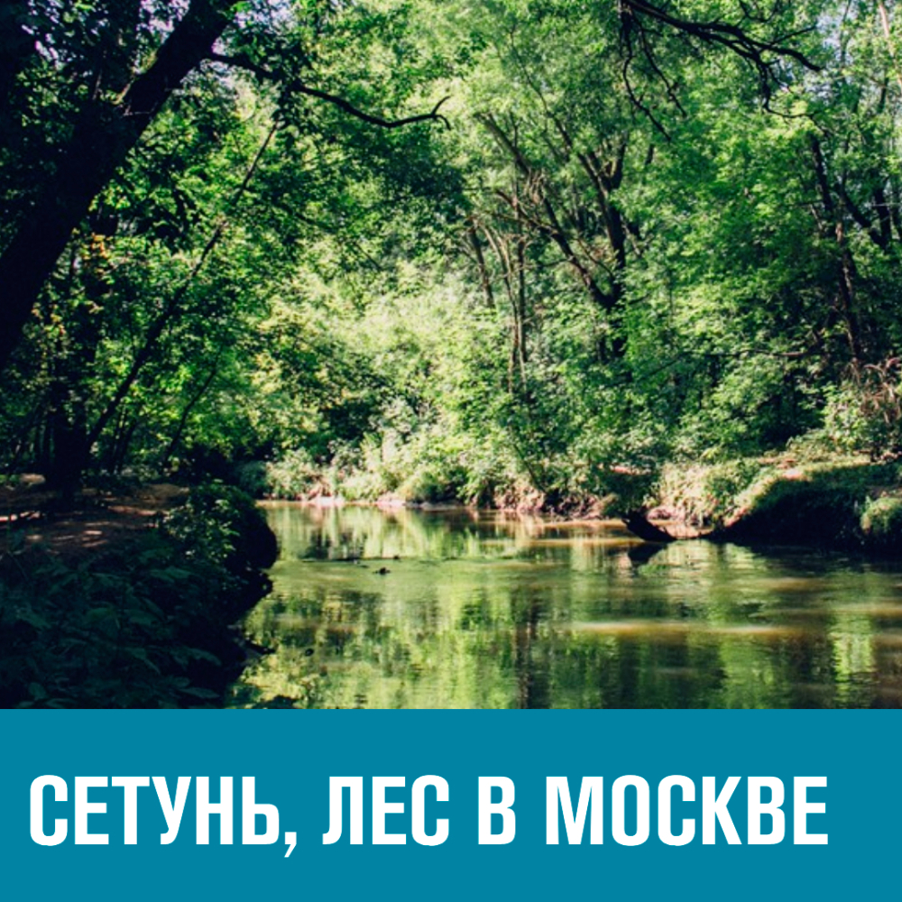 Все про Сетунь на Москва FM смотреть онлайн