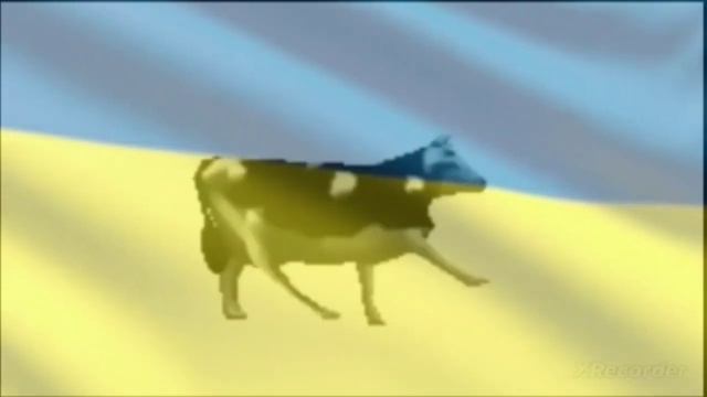 Польская корова+Гимн Украины