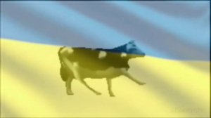 Польская корова+Гимн Украины