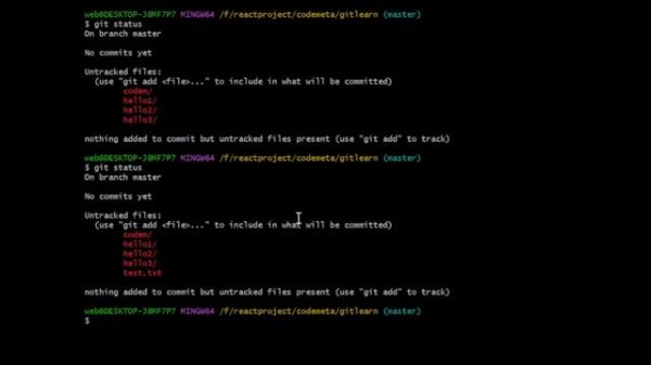 How To Find Untracked Files And Folder or Use Git Status Command In project work designs