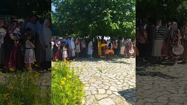 VID_48450531_035007_102.mp4