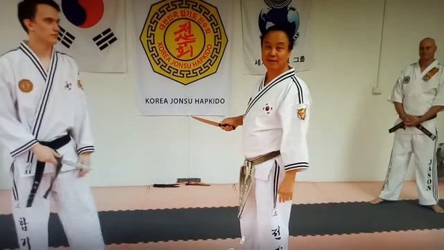 Korea Jonsu Hapkido смотреть онлайн
