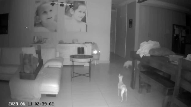 M5.0 Earthquake Hits Johannesburg, South Africa - Jun. 11, 2023 смотреть онлайн