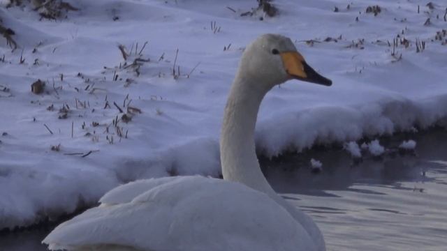 9 -10. 3- 21 Kiimajärvi Sastamala. смотреть онлайн