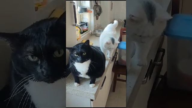 1000003721.mp4 смотреть онлайн