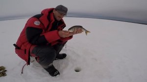 Безмотылка с Александром Зайцевым