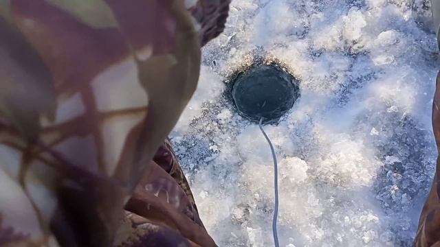 Как ловить с эхолотом зимой.На что способен Практик Эр 6 про 2 премиум. смотреть онлайн