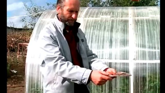 Борьба с осами смотреть онлайн