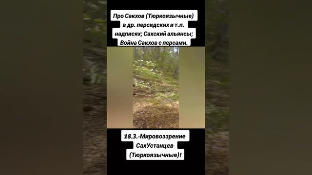 18.3.-Мировоззрение СахУстанцев (Тюркоязычные): Про Сакхов персидских и т.п. надписях; Альянс Сакхо смотреть онлайн