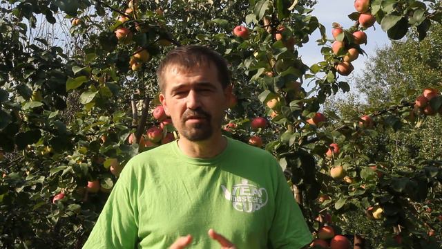 Садоводство как простой путь к единению с природой