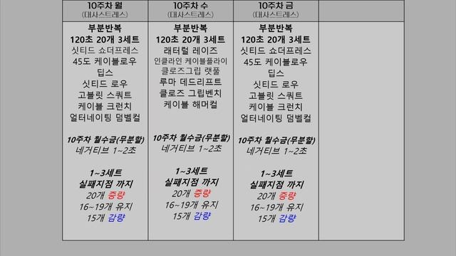 7~12주차 루틴 + 90도 케이블 익스텐션 [삼두근 운동! 장두 내측두] смотреть онлайн