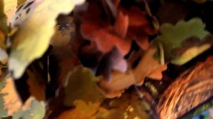 Сесиль Баркер - Королевство фей