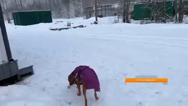 С Праздниками !!Привет из 2023!) смотреть онлайн