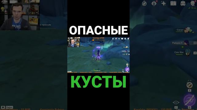 ОПАСНЫЕ КУСТЫ В Genshin Impact смотреть онлайн