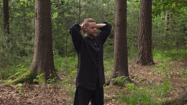 Цигун для шеи смотреть онлайн