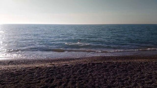 Море фрунзе смотреть онлайн