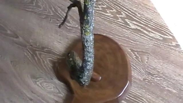 Изделие из дерева (дуб) смотреть онлайн
