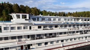 А.С.Пушкин с 01.06.по14.06.2024г.