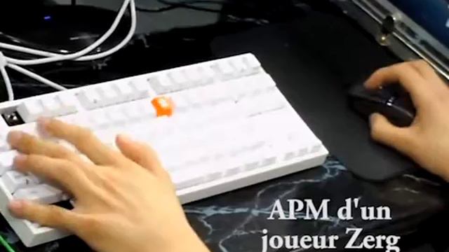 Tuto starcraft 2 : bien choisir sa race смотреть онлайн