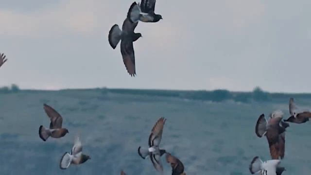 Ну вот мы и остались одни. Страшные. Мистические. Творческие рассказы. смотреть онлайн