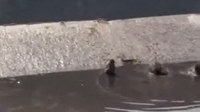 Эмоции души смотреть онлайн