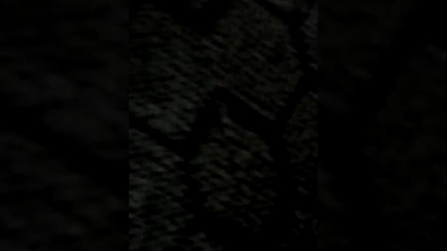 Мамина работа смотреть онлайн