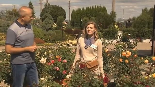 "Посадки растений осенью" в программе "ДАЧНЫЙ ВОПРОС" смотреть онлайн